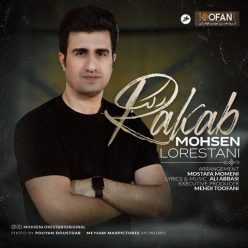 دانلود آهنگ محسن لرستانی رکب